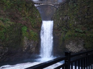 Multnomah in winter--the water's freezing over