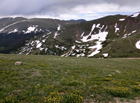 Alpine meadows along Alpine Ridge Trail